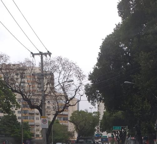 Asduerj alerta trabalhadores e trabalhadoras a defender seus direitos na pandemia